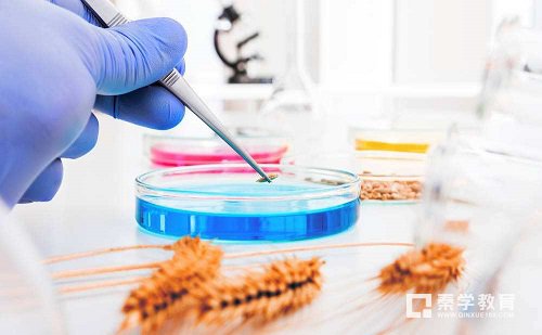 專業訪談之食品科學與工程